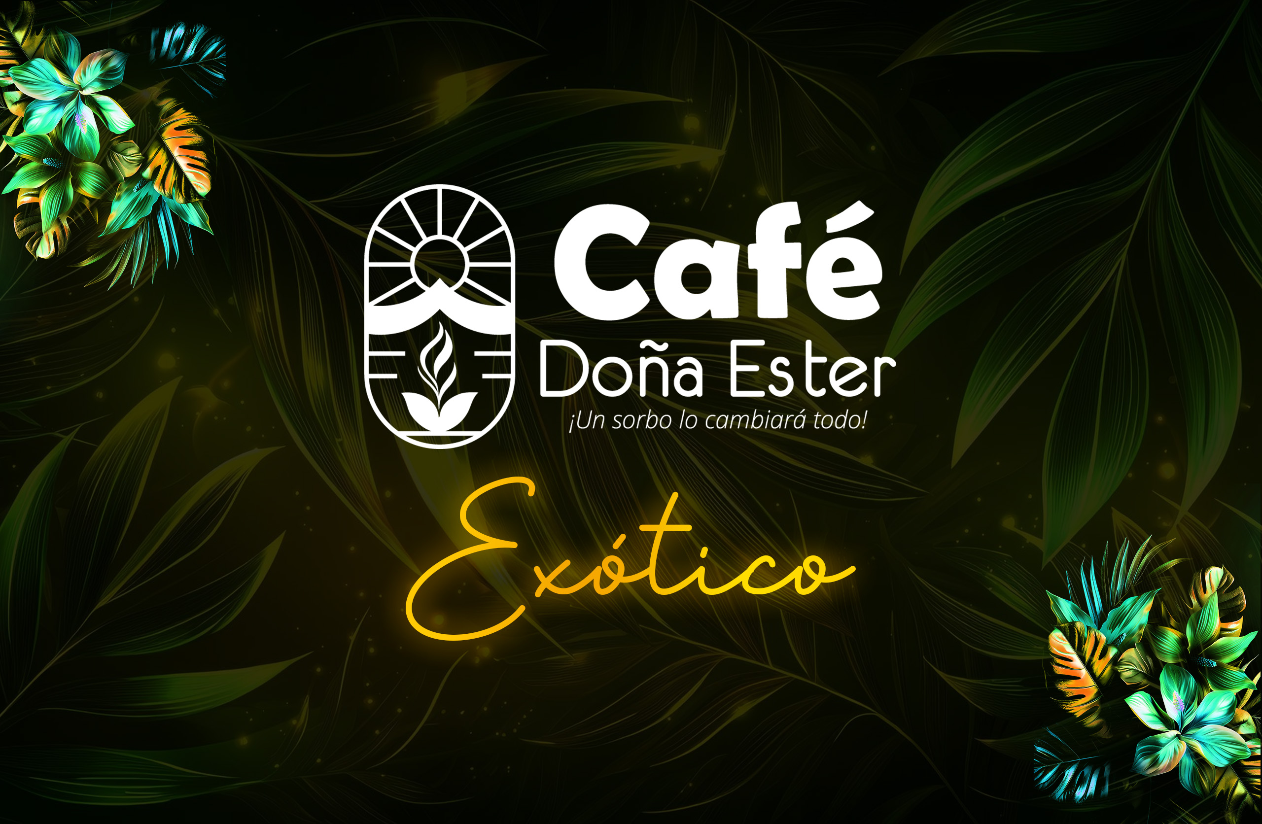 banner café exotico de colombia mejor del mundo norte de santander envios nacionales